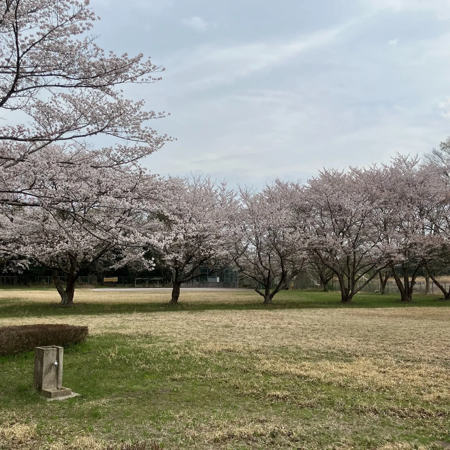 工業団地内…癒し
